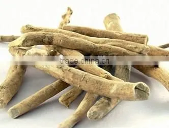 GMP Natural High Quality Withania Somnifera Extract/Ashwagandha Extract photo-2
