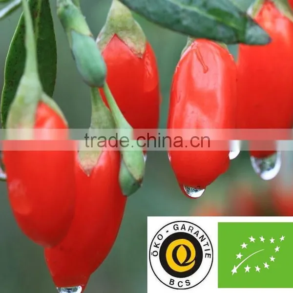 Sun Dried Organic Goji Berries