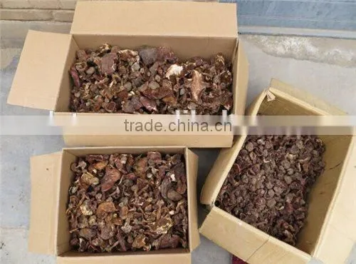 Green Healthy Dried Smooth Mushroom for Sale photo-6