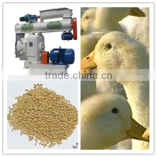 Latest Research 250 Artificial Poultry Feed Pellet Production Line photo-2
