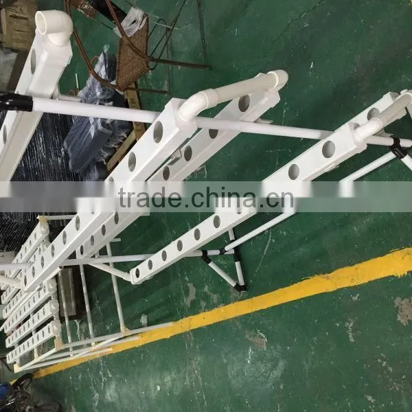 Hydroponic Vertical System for Lettuce photo-2