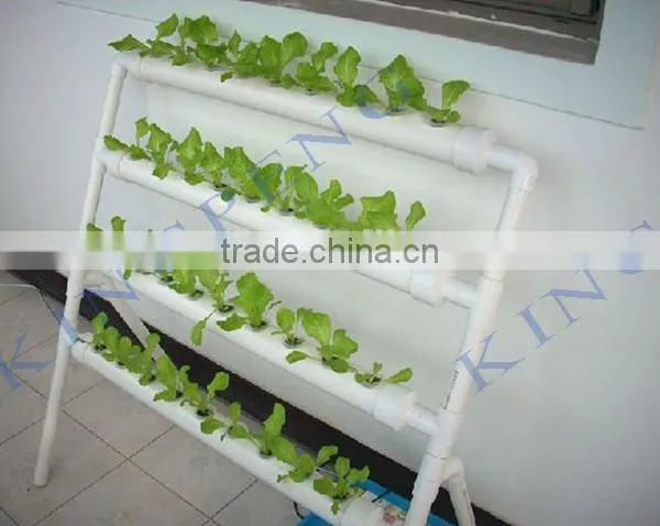 Agricultural Hydroponic Lettuce Cultivation Greenhouse photo-2
