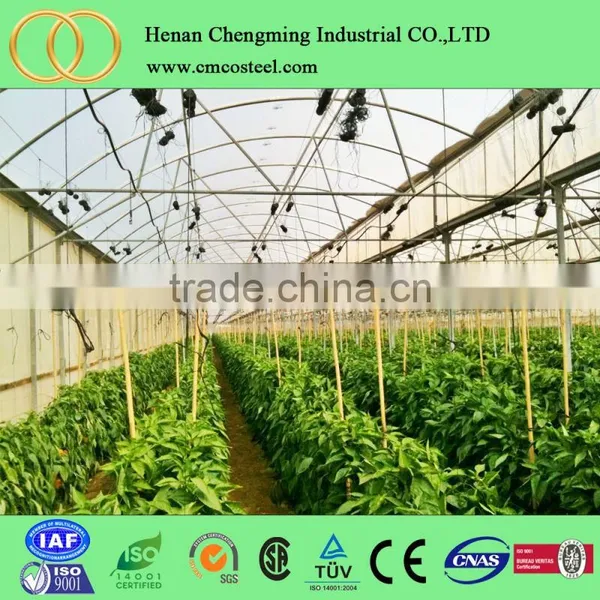 8mm uv Plastic Translucent pc Sheet Vegetable Tunnel Greenhouse photo-2