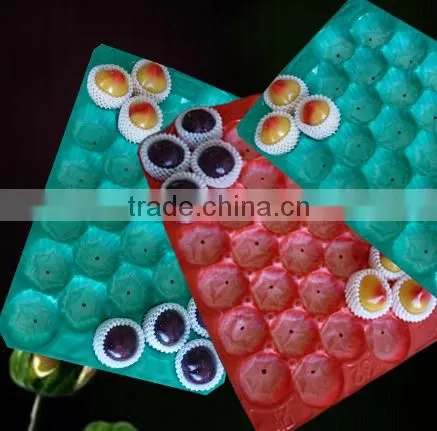 China Supply Cheap Plastic Fruit Tray photo-3
