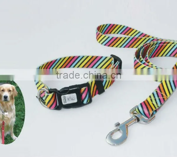 Professional Pet Training Collar