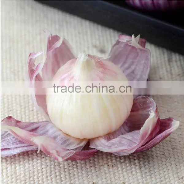 Best Price of Chinese Fresh Garlic
