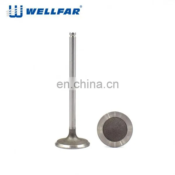 Car Component TU5 JP4 Pg206 1.6 Engine Intake and Exhaust Valve photo-5