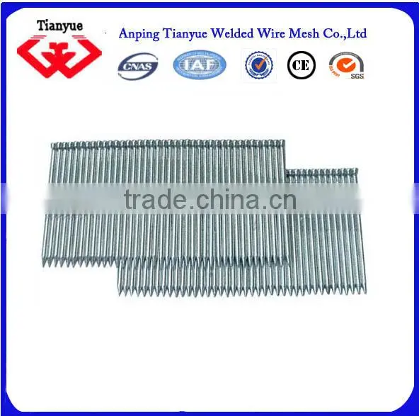 Stainless Steel Nails Manufacturer(15 Years Export Experience) photo-6