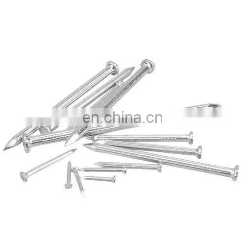 Galvanized Concrete Nails in Material 55# for Construction
