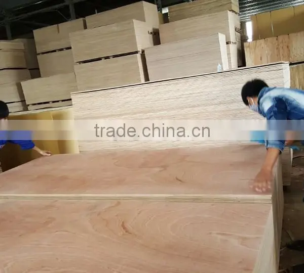 Plywood Origin in Vietnam photo-2