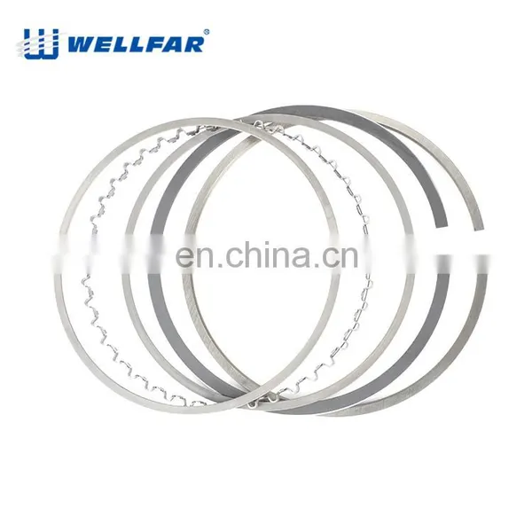 Wellfar 206 307 308 405 Engine Part Piston Ring 75mm 76.5mm for PEUGEOT Engine photo-3