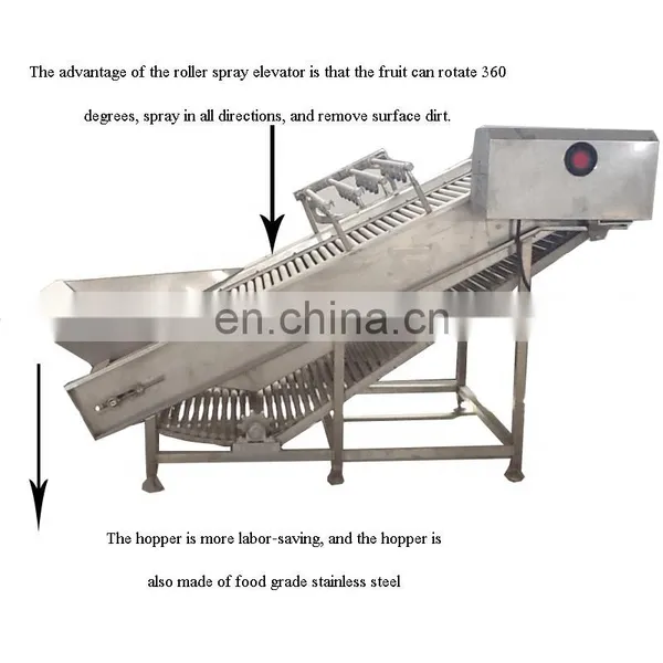 Beet Washing Machine Orange Fruit Oranges and Tangerines Brush Washing Machine Washer photo-3