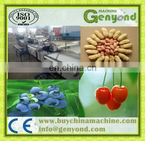 Fruit Sorting Machine Can Use for Pear/ Tomato/ Cherry/ Apple/ Orange/ Lemon/ Mango photo-2