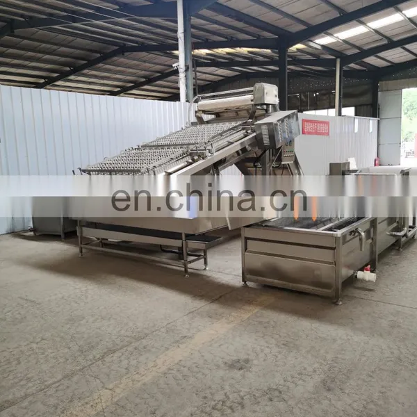 Automatic Shrimp Peeling Machine Capacity:40-50kg(Raw Shrimp)/h photo-2