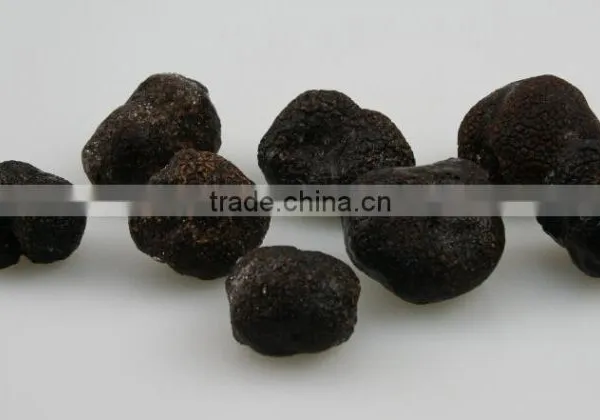 Black Truffle/truffles Mushroom photo-4