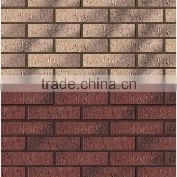 Fujian Outside Wall Decorative Tile photo-3