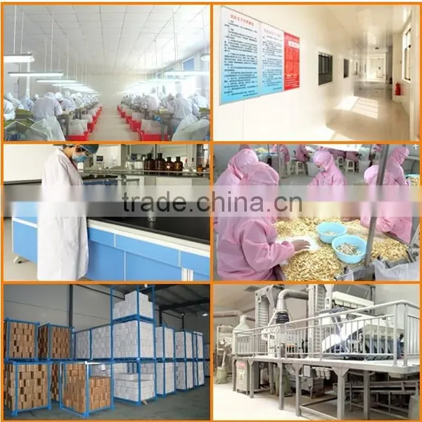 2016 New Chinese High Quality Dehydrated Garlic Flakes and Sliced Without Root or With Root photo-6
