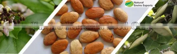 Natural / Pure Karanja Oil ; Karanja Oil