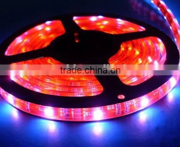 100% Waterproof SMD Led Strip Light 12V 24V photo-2