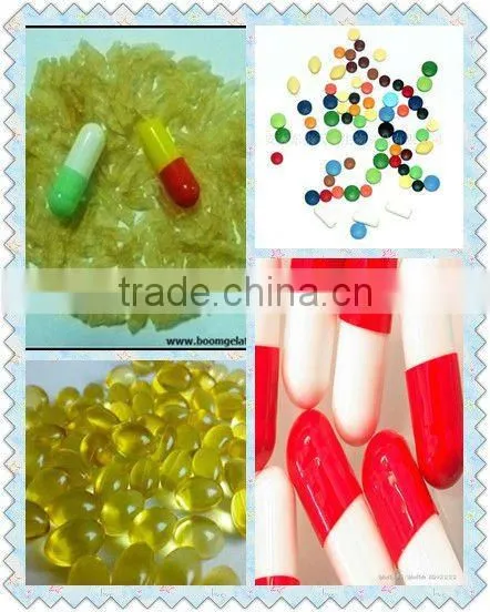 Pharmaceutical Gelatin/jelatin