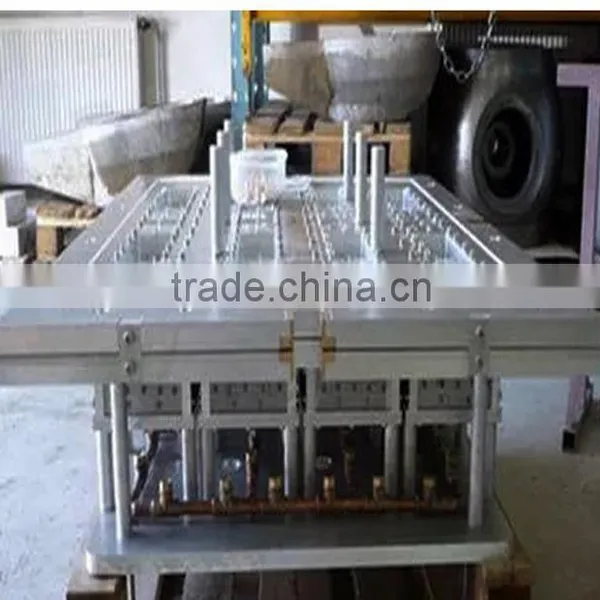 High Quality Eps/epp Foam Mould for Seed Tray photo-5