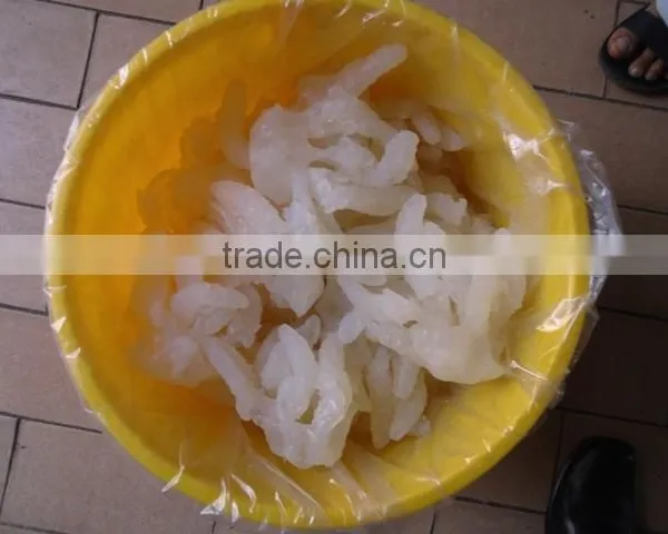 SALTED JELLY FISH photo-5