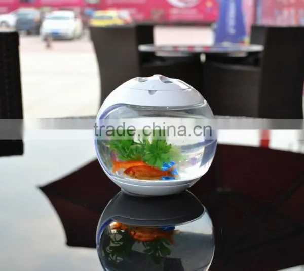 EEO Modern Design Acrylic Small Fish Tank Hanging Fish Tank, Fish Tank photo-2