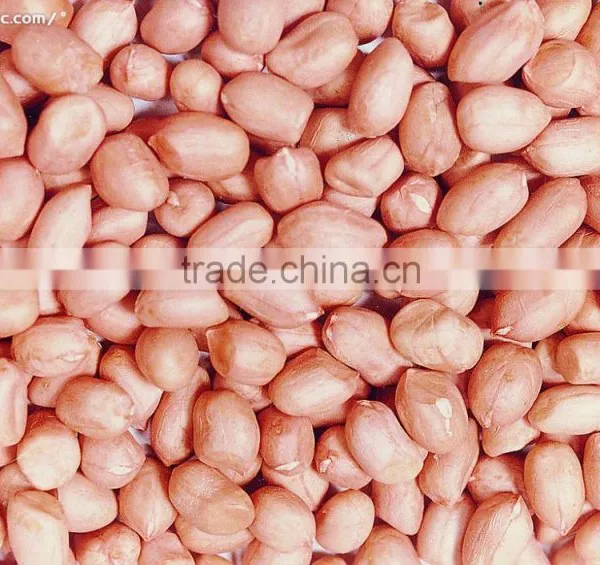 Import Export Peanut