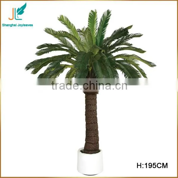 Customized Evergreen Artificial Cycas Revoluta Tree for Sale in Stock photo-4