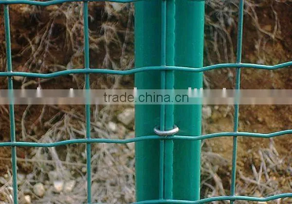 holland fencing mesh/euro fence/wire mesh fencing