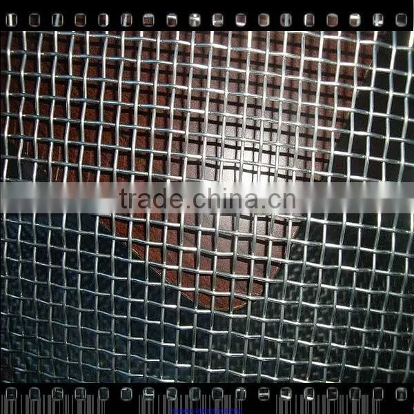 Electro Galvanized Square Wire Mesh 4x4 photo-6