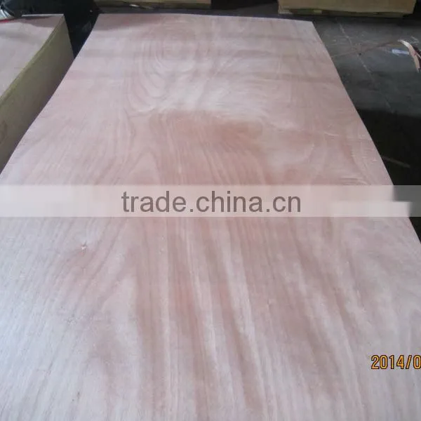 4.5mm C.D Grade Plywood for Philippine Market photo-4