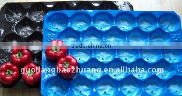 Plastic Polypropylene Packing Kiwi Tray