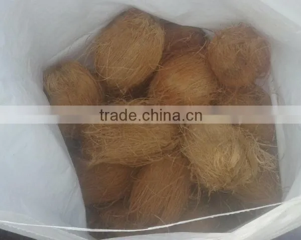 Fresh Coconuts photo-2