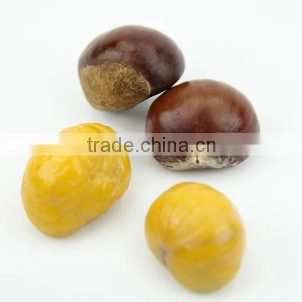 TTN Wholesale Chinese Nuts Chestnut Fresh Chestnuts Snacks photo-3