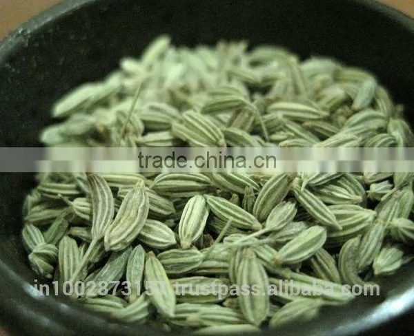 Fennel Seeds
