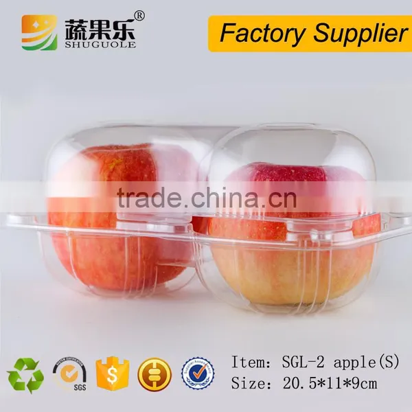 Plastic Apple Fruit Packaging Box photo-3