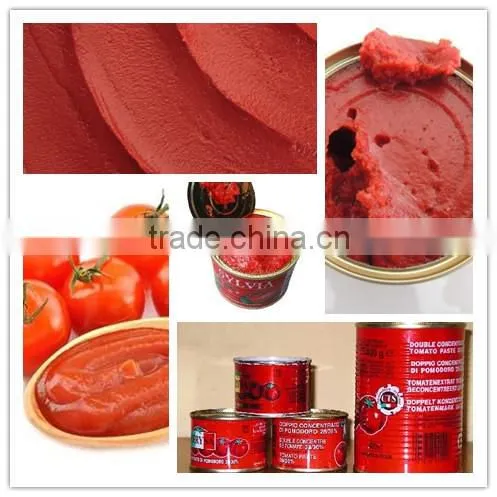 Tomato Paste for Tomato Sauce Making and OEM Service Available photo-5
