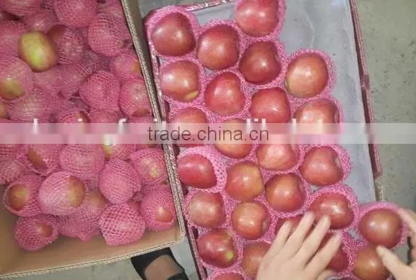 Qinguan Apples/Fresh Red Apple/ New Crop Apple From Origin Place photo-2