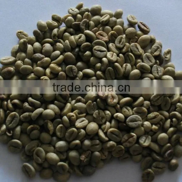 VIETNAM ROBUSTA COFFEE BEANS SCREEN 13 ORIGINAL photo-5