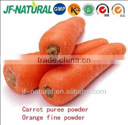 Fruit Concentrate Powder Carrot Powder