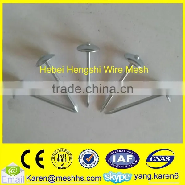 Roofing Coil Nails photo-3