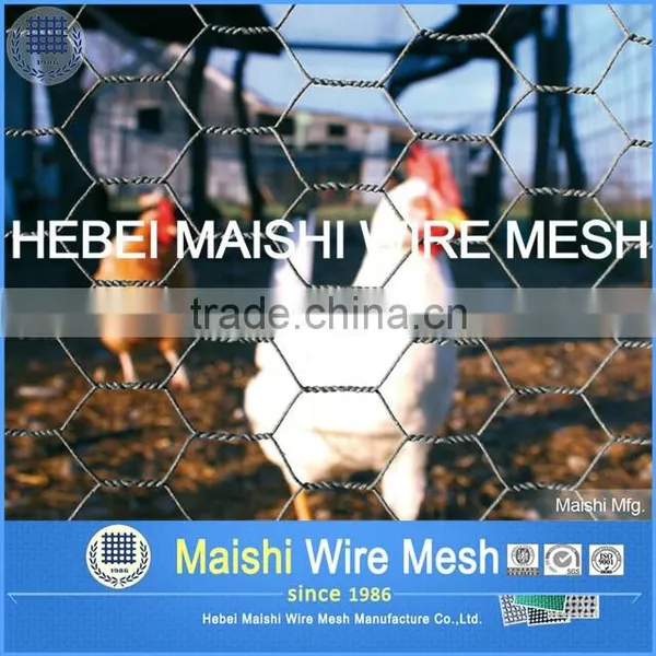 1inch Opening Galvanized Hexagonal Wire Netting Factory photo-5