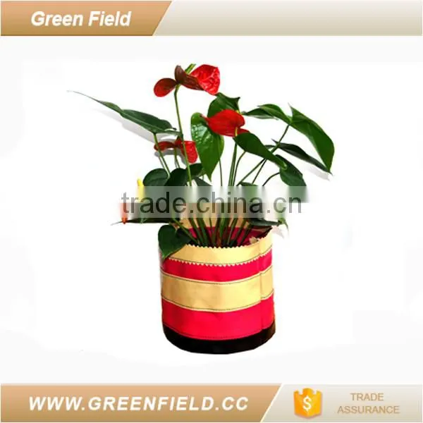 Flower Pot Wholesale Custom Fancy Flower Pot photo-2