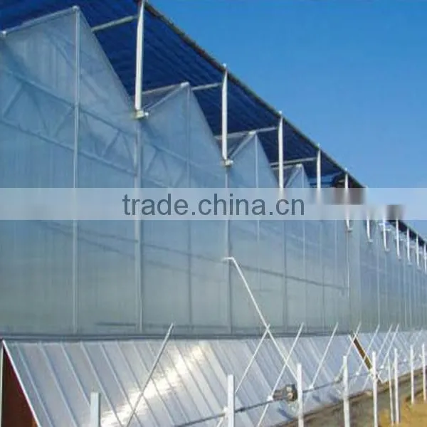 Galvanized Steel Structure pc Sheet Cover Greenhouses photo-2