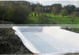 HDPE Geomembrane HDPE Sheet photo-2