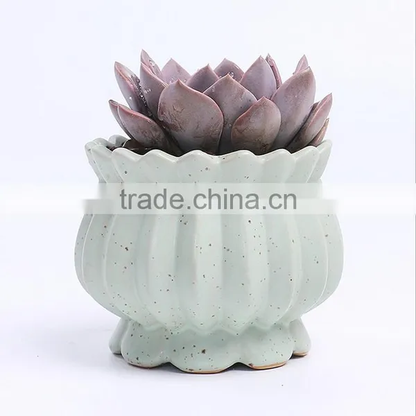 New Design Succulent Plants Ceramic Indoor Planters photo-4