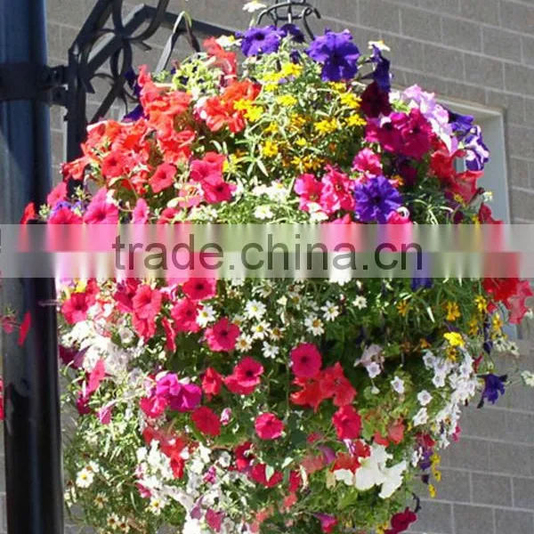 SOL 2015 Environment-friendly Hydroponics Plastic Flower Basket Hanging Flower Pots photo-3
