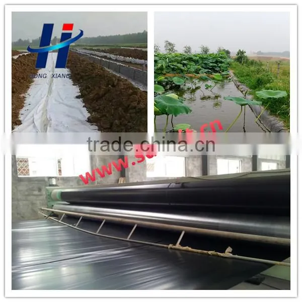 Geomembrane Used in Ornamental Lake Anti-seepage photo-4