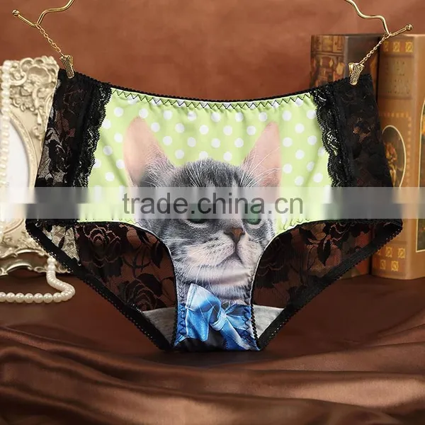 Fancy Cat Underwear Low Waist Sexy Women Panties photo-2